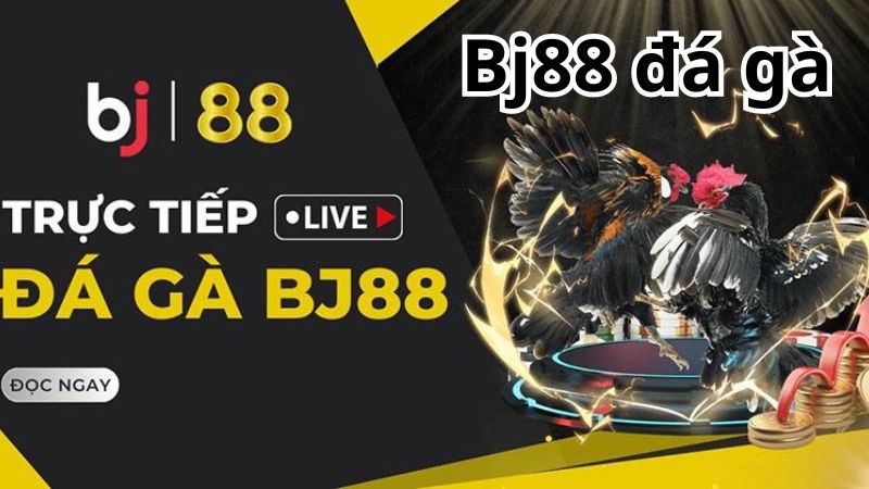 Bj88 đá gà