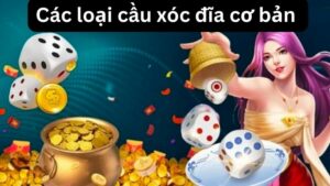 Các loại cầu xóc đĩa cơ bản 