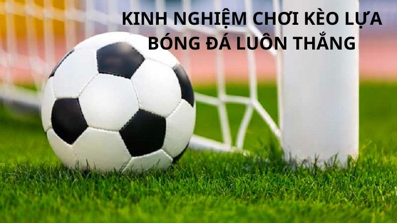 Kinh nghiệm chơi kèo lựa là sao?