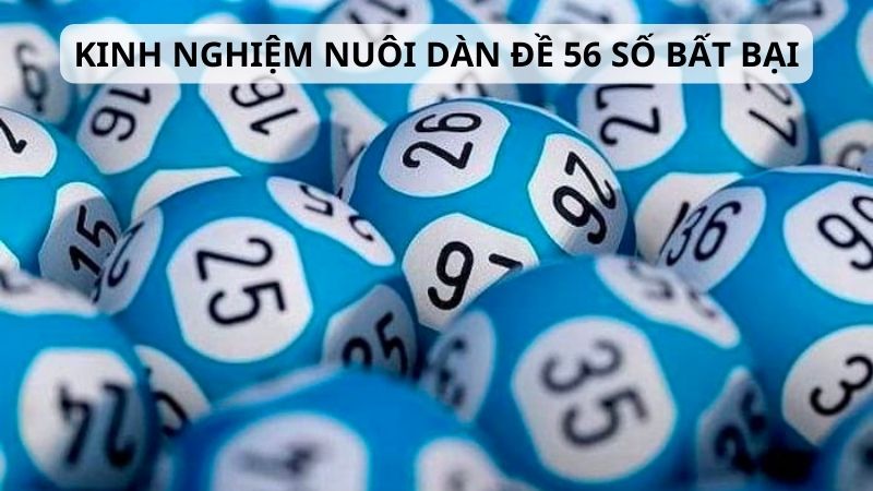 Kinh nghiệm nuôi dàn 56 số bất bại