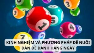 Những kinh nghiệm và phương pháp để nuôi dàn đề đánh hàng ngày hiệu quả