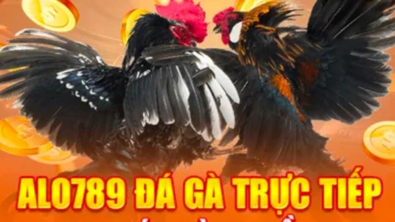 Tổng quan về alo789 đá gà